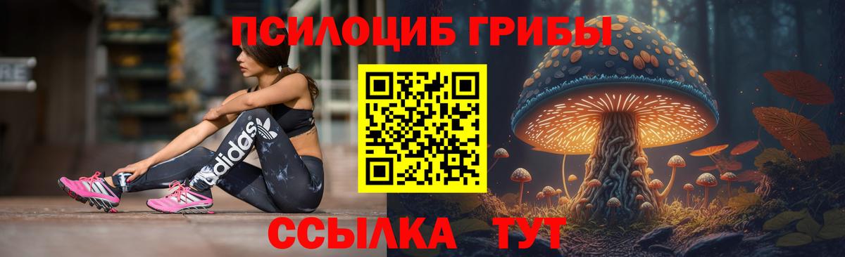 Кингисепп  Галлюциногенные грибы MAGIC MUSHROOMS  Псилоцибиновые грибы GOLDEN TEACHER  Вход с VPN 